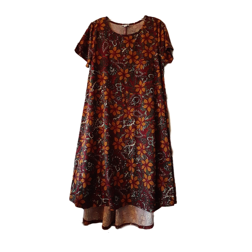 Carly High- Low Swing Dress by LulaRoe - Picture 2 of 8